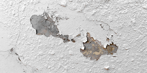 Pintar Fachadas de Naves Industriales, Fábricas y Almacenes en Reus · Pintura Antihumedad / Antimoho para Humedades / Moho