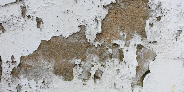 Pintar Fachadas de Empresas / Negocios / Locales Comerciales en Reus · Pintura Antihumedad / Antimoho para Humedades / Moho